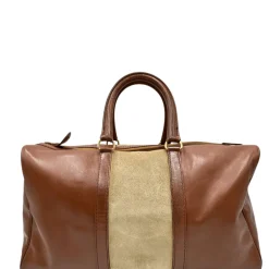 Bauletto Dior