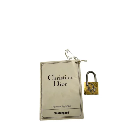 Bauletto Dior