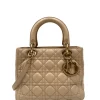 Borsa media Lady Dior