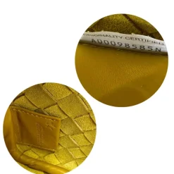 Camera Bag Bottega Veneta