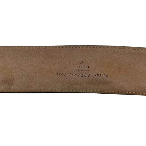 Cinta Gucci Web Tg 46