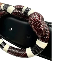 Cintura Gucci Dionysus tg 44