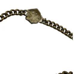 Cintura Gucci tigre