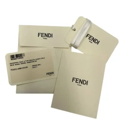 Fendi Bag Grace Light