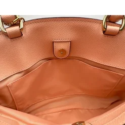 Satchel Coach
