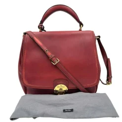 Satchel Miu Miu