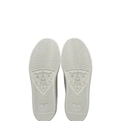 Sneakers Gucci n 37
