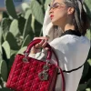 Borsa Lady Dior Media